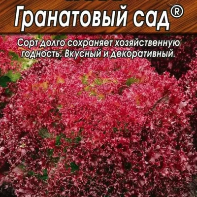 Салат Гранатовый сад листовой 0,5г Ср (Аэлита)