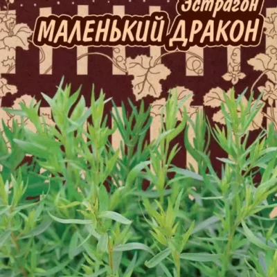 Эстрагон (тархун) Маленький дракон 0,05 г (Гавриш) Ленивый огород