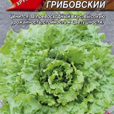 Салат Кучерявец грибовский полукочанный 0.5г Ср (Аэлита)
