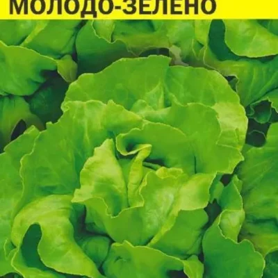 Салат Молодо-Зелено листовой 0.5г Ср (Сем Алт)