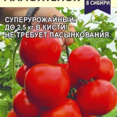 Томат Мамонтенок 5шт Дет Ср (Сем Алт)