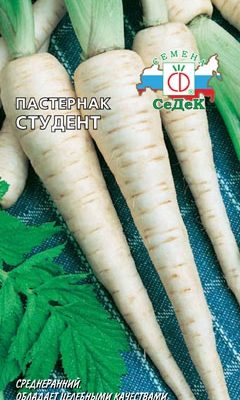 Пастернак Студент 1г Ср конический (Седек)