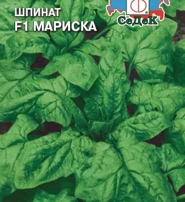 Шпинат Мариска F1 2г Ср (Седек)