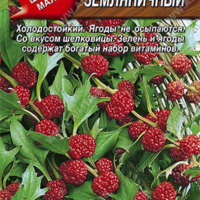Шпинат Земляничный 0.05г (Аэлита)