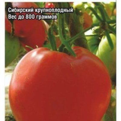 Томат Алсу 20шт Дет СрРан (Сиб сад)
