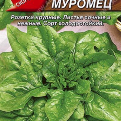 Шпинат Илья Муромец 3г Ранн (Аэлита)