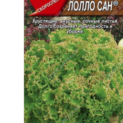 Салат Лолло Сан листовой 0.5г Ранн (Аэлита)