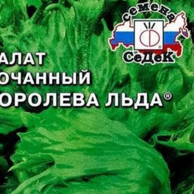 Салат Королева льда кочанный 0,5г Ранн (Седек)
