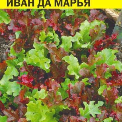 Салат СМЕСЬ Иван да Марья листовой 0.5г смесь Ранн (Сем Алт)