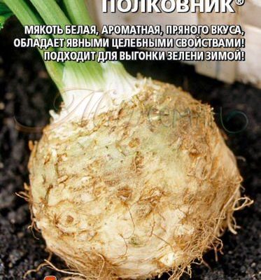 Сельдерей Полковник корневой 0,25г Ранн (УД)