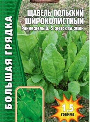 Щавель Польский широколистный 1,5г Ранн (Сиб сад) Большая грядка