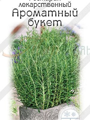 Розмарин Ароматный букет 15шт Ранн (Аэлита)