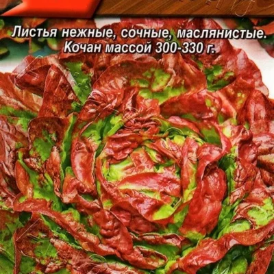 Салат 4 сезона кочанный 0,5г Ср (Аэлита)