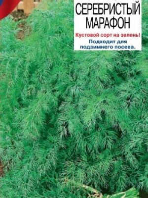 Укроп Серебристый марафон 2г Ср (Цвет сад)