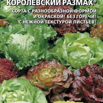 Салат Королевский размах листовой 0.25г смесь Ранн (УД)