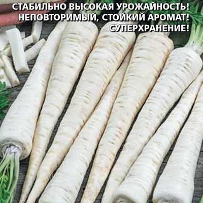Петрушка Уральская усадьба корневая 2г Ср (УД)