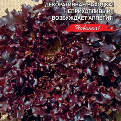 Салат Настоящий Гурман 0,25г Ранн (УД) Е/П