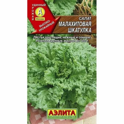 Салат Малахитовая шкатулка листовой 0.5г Ср (Аэлита)