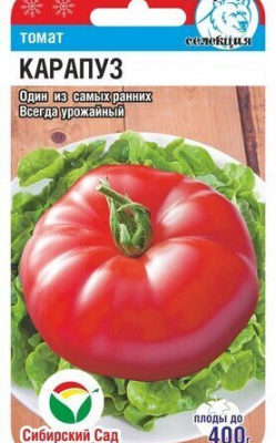 Томат Карапуз 20шт Дет Ранн (Сиб Сад)
