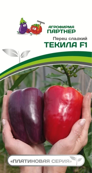 74joomrtydm38af8d451fuyy31odvei9 74joomrtydm38af8d451fuyy31odvei9