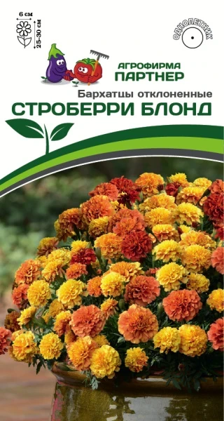 9y6gsl6eqx99j1gcz7rj24fqufqi9no2 9y6gsl6eqx99j1gcz7rj24fqufqi9no2