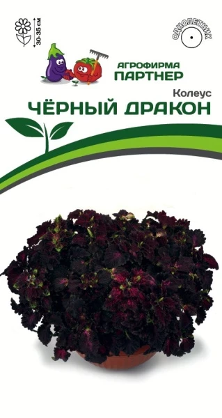 lw9rn7lsxujaikxi0n9ty8burtttqwwf lw9rn7lsxujaikxi0n9ty8burtttqwwf